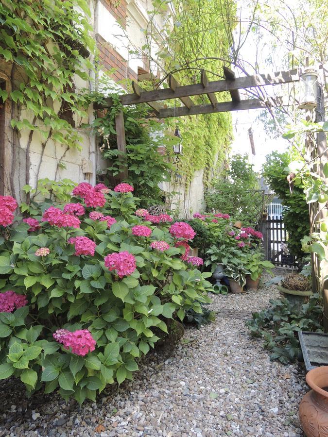 Maison D'Hotes "Les Volets Verts" Et Sa Brocante Ecueille Eksteriør bilde